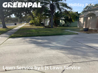 Grass Cutting nearby St. Petersburg, FL, 