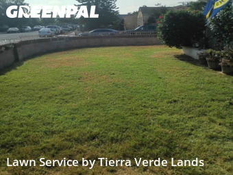 cheap-lawn-cutting-businesses-in-Ladera Ranch-CA