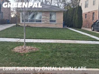 Lawn Service nearby Elmhurst, IL, 