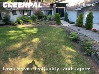 Grass Cut nearby Bellevue, WA, 
