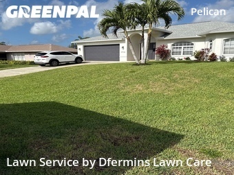 Affordable Landscaping In Cape Coral,33914,Landscaping Renovation by Dfermins Lawn Care , work completed in Apr , 2026