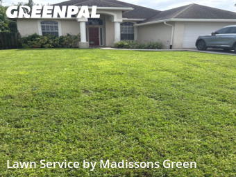 Yard Management in West Palm Beach, 33413, Backyard Mowing by Madissons Green, work completed in Nov , 2025