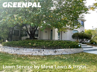 Lawn Mow nearby Denver, CO, 