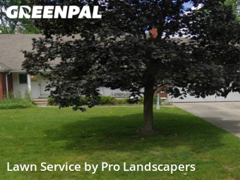 Yard Cutting nearby Farmington Hills, MI, 
