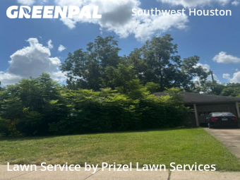 Lawn Cutin Bellaire,77401,Lawn Cutting by Prizel Lawn Services, work completed in Dec , 2025