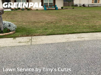 Grass Cut nearby Valdosta, GA, 