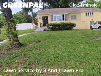 Lawn Cutting nearby Tampa, FL, 