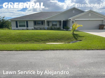 Grass Cut nearby Lehigh Acres, FL, 