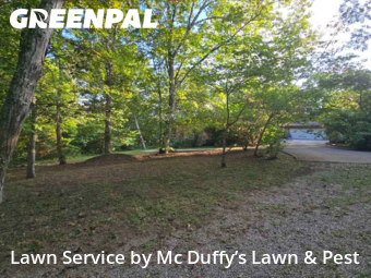 Grass Cutting nearby Newport, TN, 