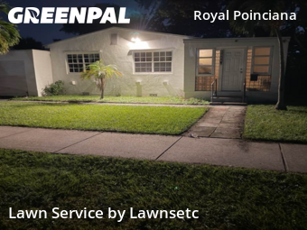 Grass Cutin Hollywood,33020,Lawn Care Service by Lawnsetc, work completed in Nov , 2025