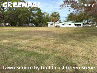 Yard Mowing nearby St. Petersburg, FL, 