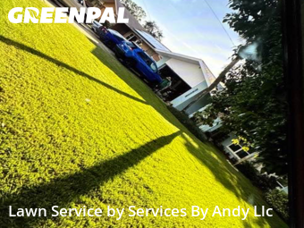 Lawn Mow nearby Largo, FL, 