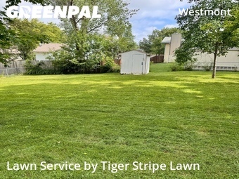 Lawn Mowing Service nearby Papillion, NE, 