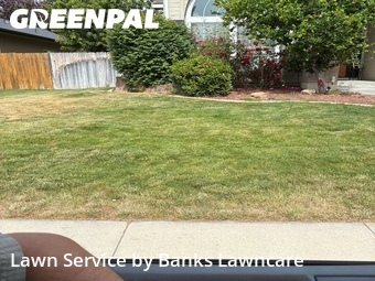 Lawn mowed in Eagle, 83616