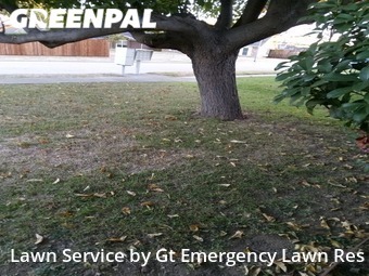 Yard Mowing nearby Lewisville, TX, 