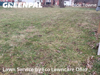 Lawn Cutting nearby Columbus, OH, 