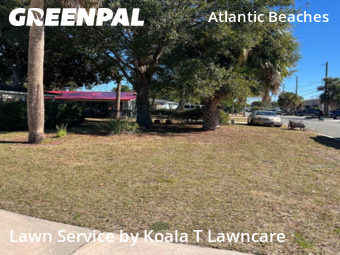 Lawn Servicein Atlantic Beach,32233,Lawn Care Service by Koala T Lawncare, work completed in Jun , 2026