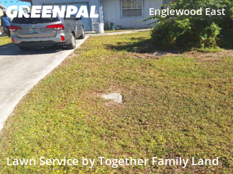 Lawn Care Service nearby Port Charlotte, FL, 