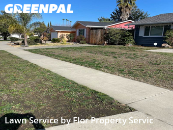 Lawn Maintenance nearby San Jose, CA, 