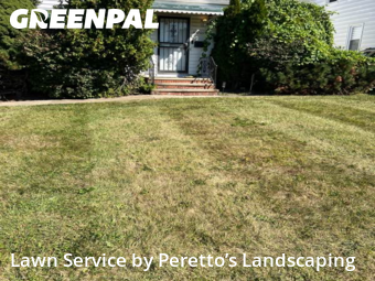 Yard Upkeep in Maple Heights, 44137, Weed Trimming by Peretto’s Landscaping, work completed in Nov , 2025