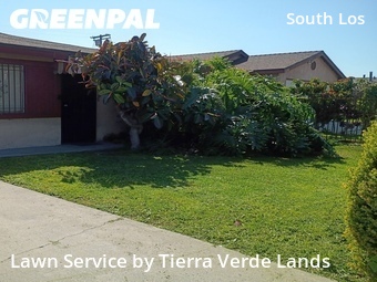 Yard Mowing nearby Los Angeles, CA, 