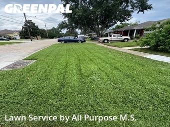 Grass Cut nearby Metairie, LA, 