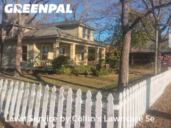 Yard Upkeep in Buda, 78610, Yard Maintenance by Collin's Lawncare Se, work completed in Dec , 2025