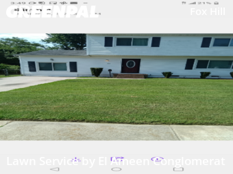 Yard Mowing in Hampton, 23664, Yard Management by El Ameen Conglomerat, work completed in Nov , 2025