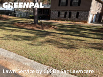 Grass Cut nearby Ellenwood, GA, 