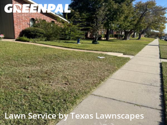 Lawn Maintenancein The Colony,75056,Grass Cut by Texas Lawnscapes, work completed in Nov , 2025