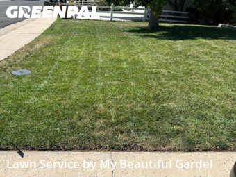 Grass Cut nearby Thornton, CO, 