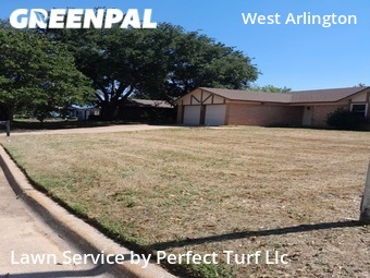 Yard Cutting nearby Arlington, TX, 