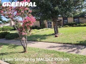 Lawn Mowing nearby Richardson, TX, 