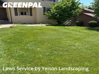 Lawn mowed in Owings Mills, 21117