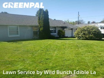 Grass Cut nearby Seattle, WA, 