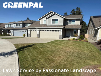 Yard Grooming in Olympia, 98513, Yard Services by Passionate Landscape, work completed in Nov , 2025