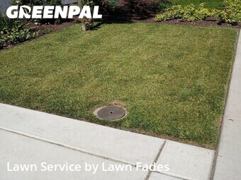 Lawn Cut nearby Roseville, CA, 