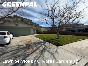 Affordable Landscaping In Lancaster,93535,Landscape Design by Olivares Gardening , work completed in Jan , 2026