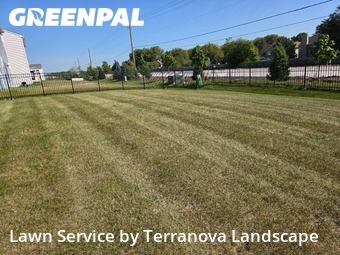 Yard Work in South Elgin, 60177, Mowing Services by Terranova Landscape, work completed in Nov , 2025
