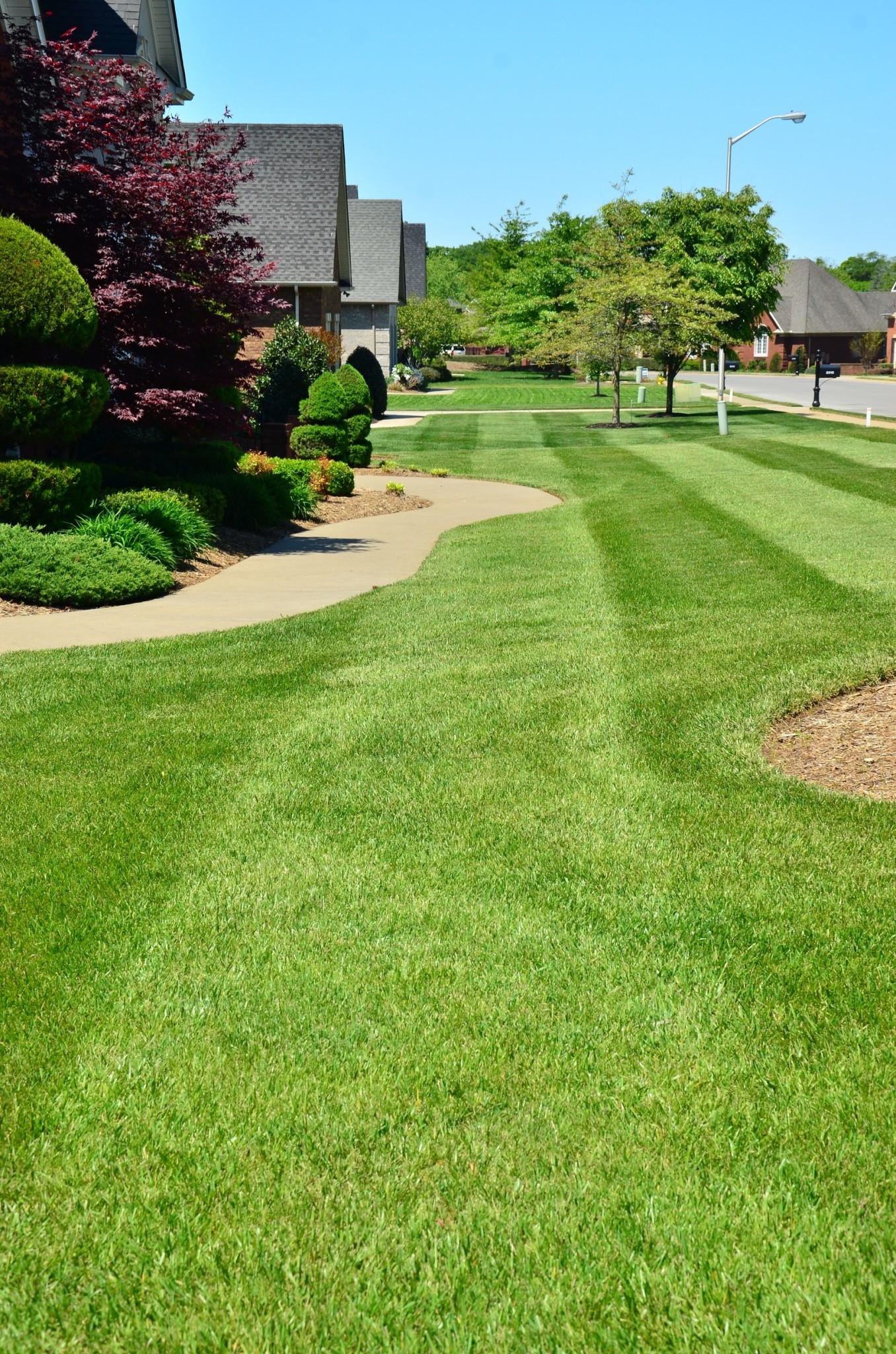 The 10 Best Lawn Care Services in Louisville, KY from $37