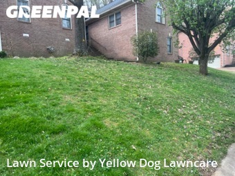 Yard Mowing nearby Hermitage, TN, 