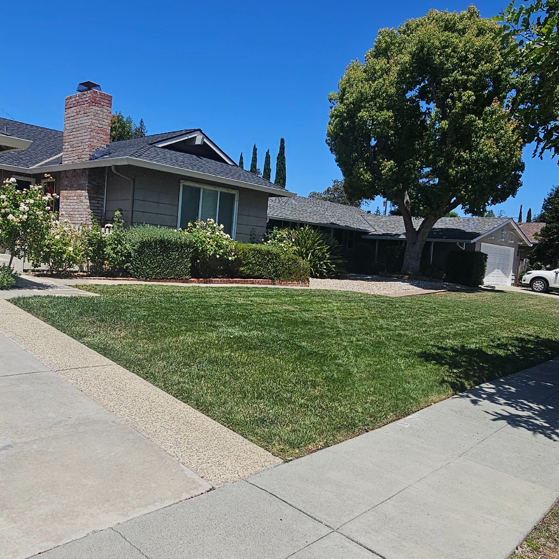 Lawn mowing work by The Lawnmowerman  in Milpitas, CA