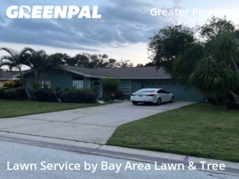 Grass Cutting nearby St. Petersburg, FL, 