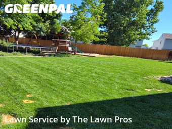 Grass Cut nearby Thornton, CO, 