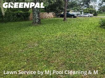 Grass Cut nearby Lakeland, FL, 