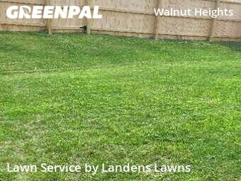 Lawn Care Service nearby Columbus, OH, 