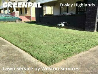 Yard Cutting nearby Birmingham, AL, 