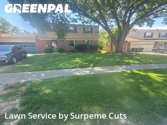 Grass Cut nearby Cincinnati, OH, 