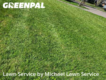 Lawn Cutting nearby Livonia, MI, 
