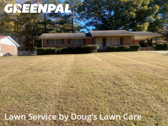 Grass Care in Henderson, 27537, Grass Services by Doug's Lawn Care, work completed in Dec , 2025